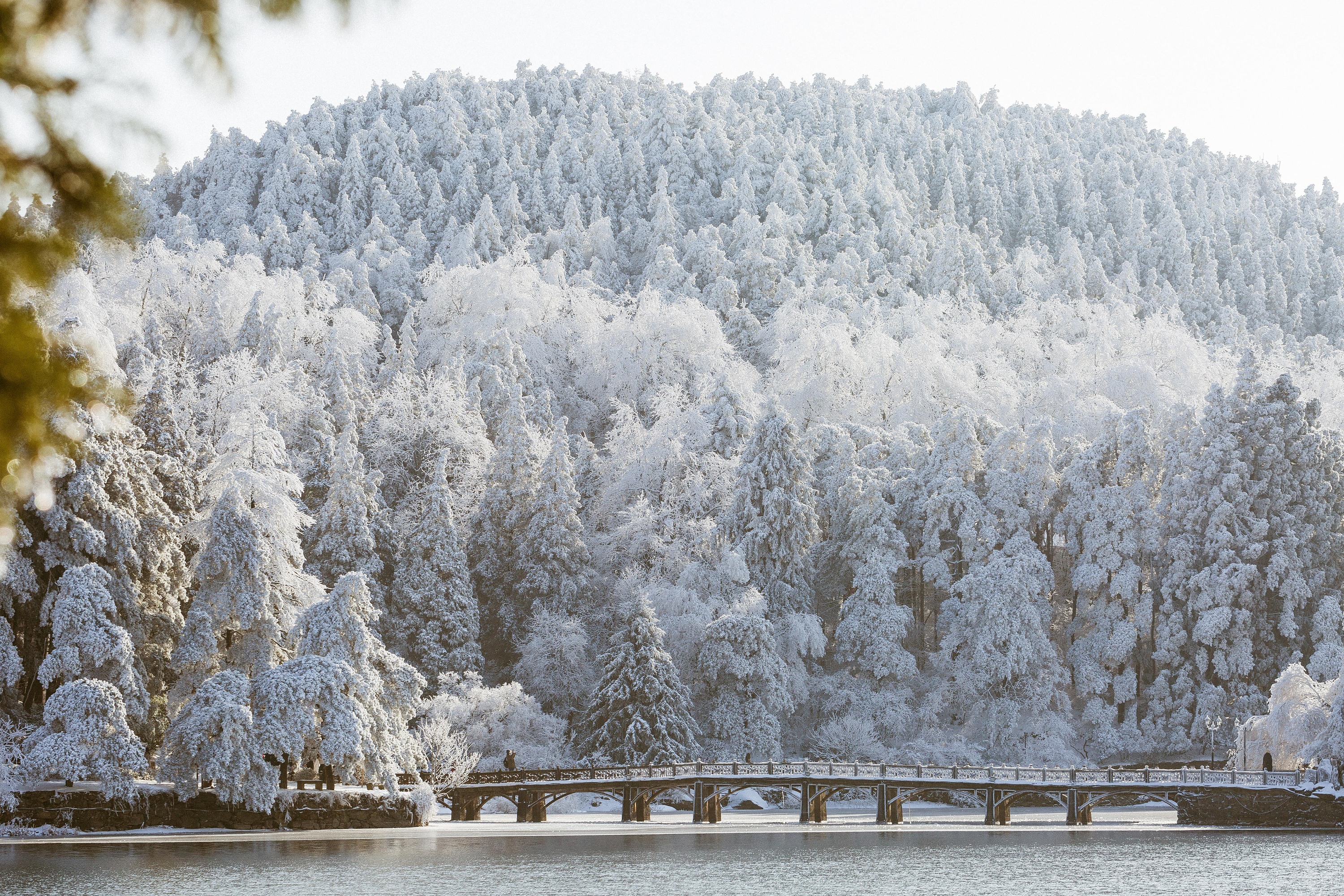 庐山雪景——感受大自然的美丽 - 知乎