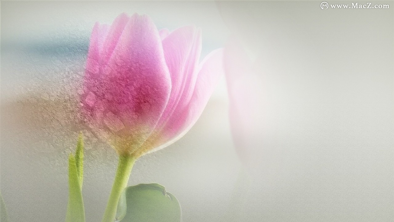 泥石背景PS填充素材（图ZMjM2OTEyMjMy） - 其他平面 - 站酷设计师mac开心原创素材 - 站酷ZCOOL