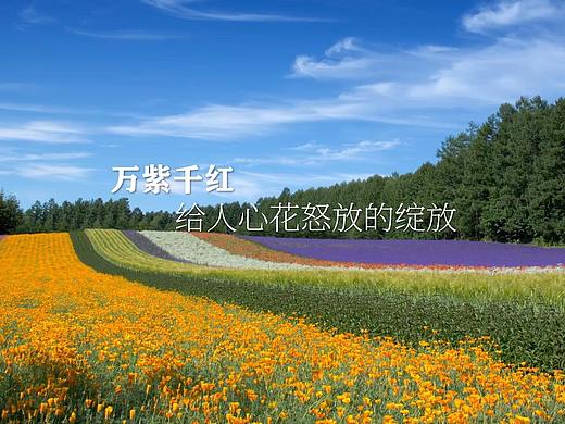 千江粉末涂料-3D产品动画片