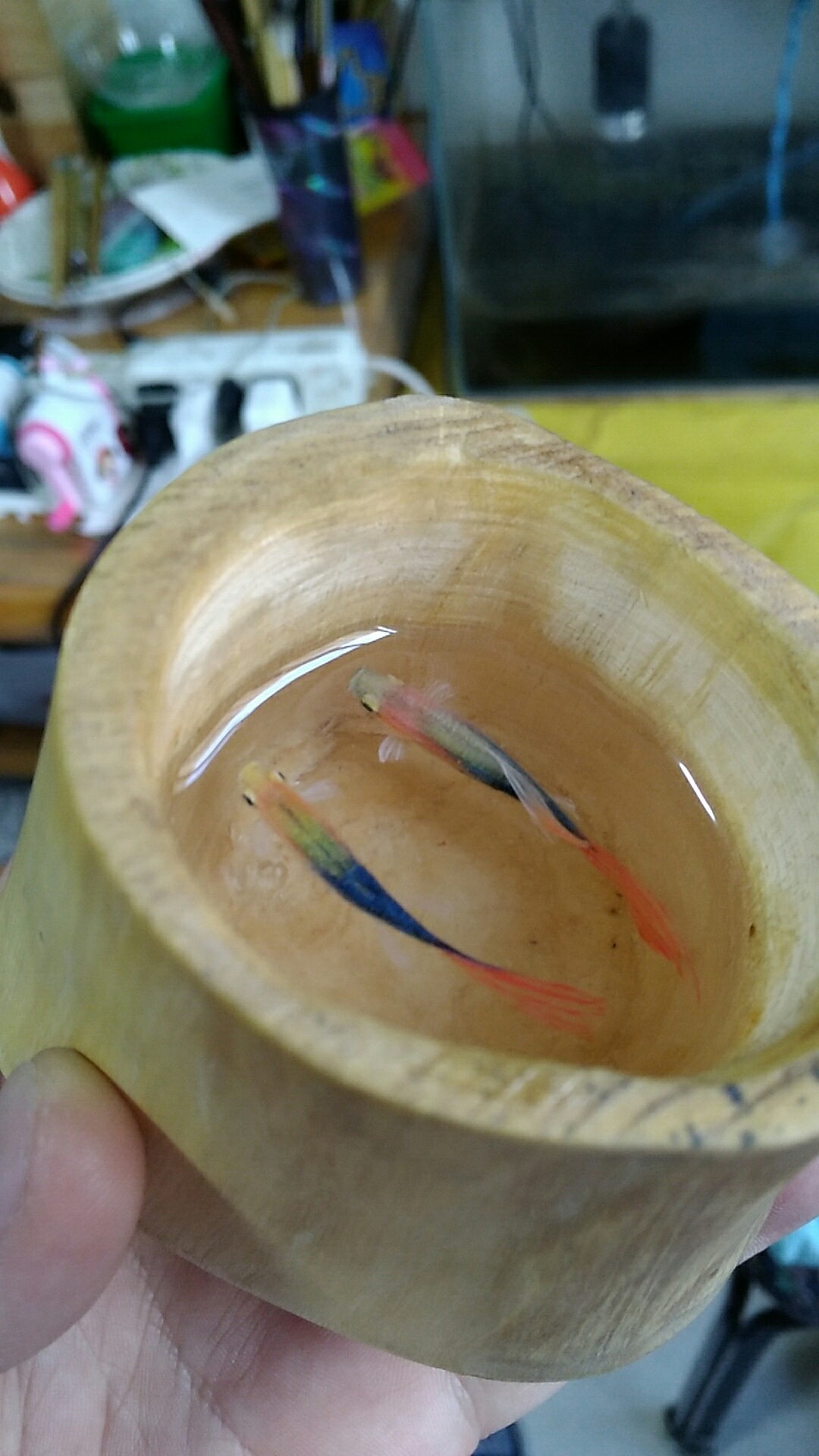 未完成的树脂鱼（图ZOTIxNDI4NDg=） - 其他手工艺 - 站酷设计师王才毓原创素材 - 站酷ZCOOL