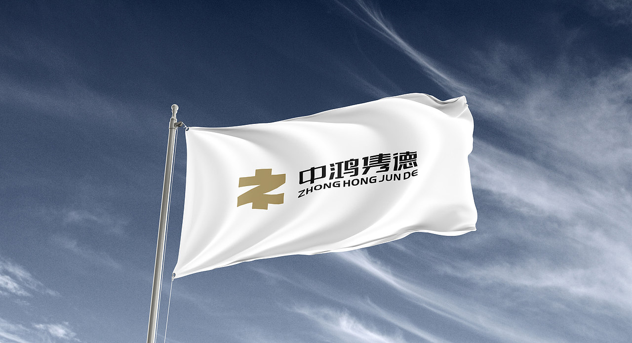 中鸿隽德© Brand Design（图ZMjk4OTgxNzcy） - Logo - 站酷设计师冒牌大叔原创素材 - 站酷ZCOOL
