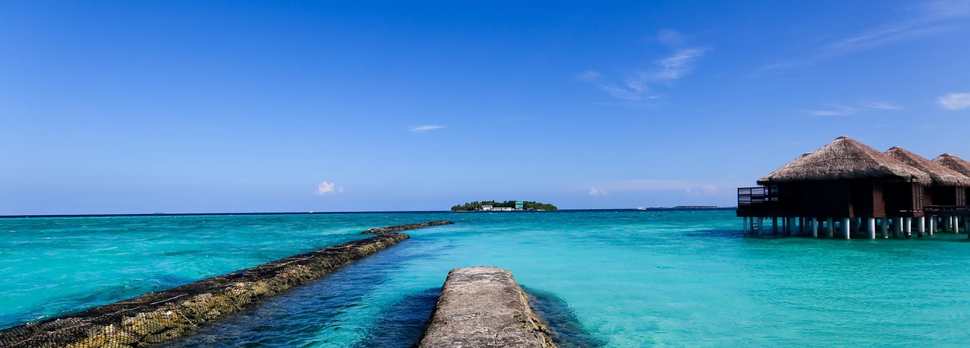 绽放瞬间的个人主页（背景预览） - 主页背景设置 - 站酷设计师绽放瞬间原创素材 - 站酷ZCOOL