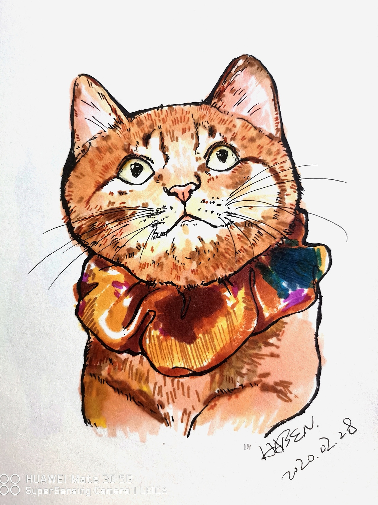 明晨无施主，依样画猫儿（图ZMjAwMTgyNTA4） - 创作习作 - 站酷设计师王小五是只喵原创素材 - 站酷ZCOOL