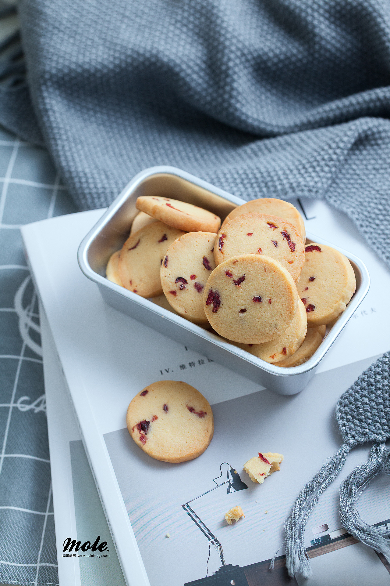 蔓越莓饼干|摄影|产品摄影|摩子inn - 原创作品 - 站酷 (zcool)