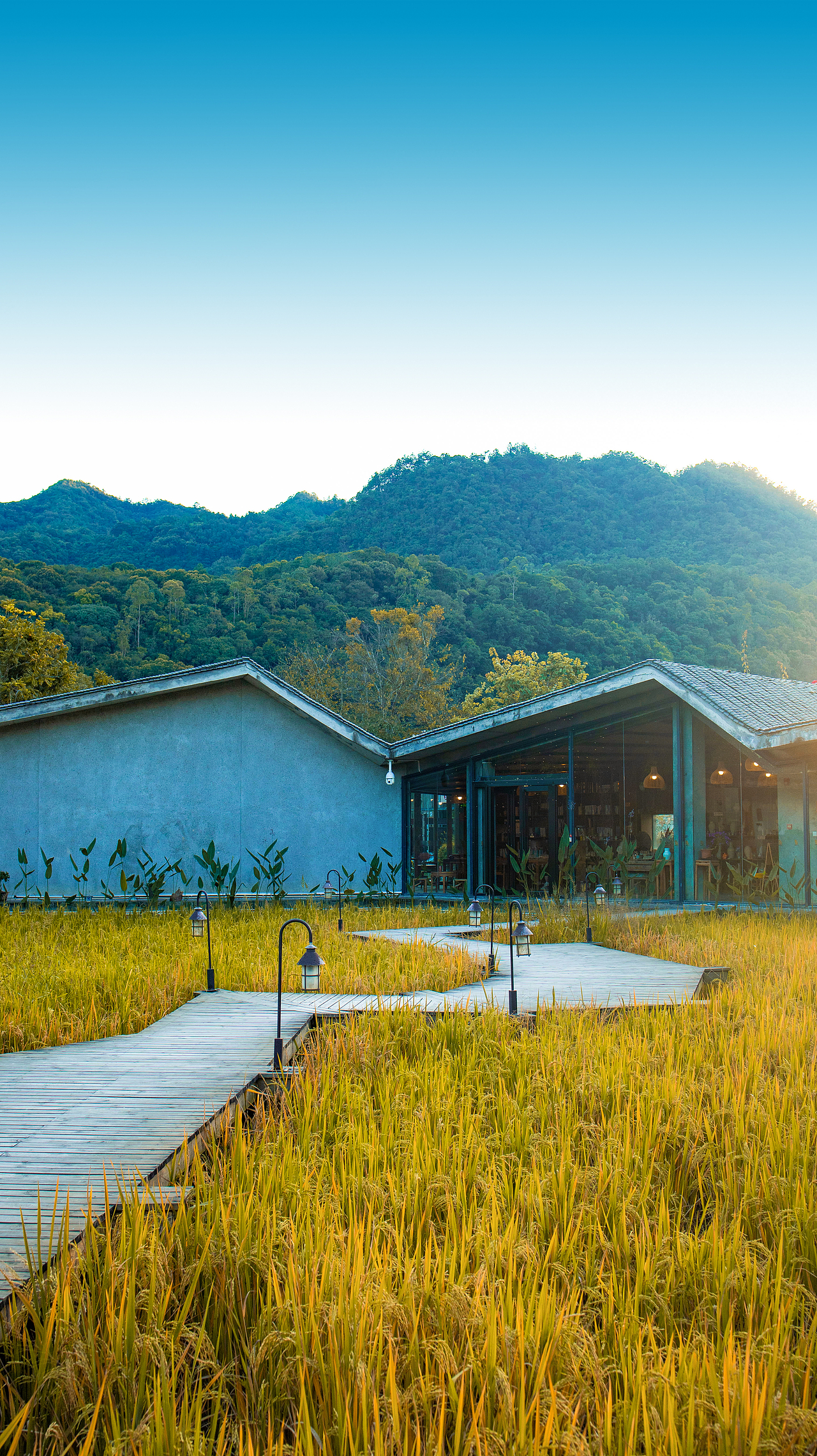 近期的走走拍拍