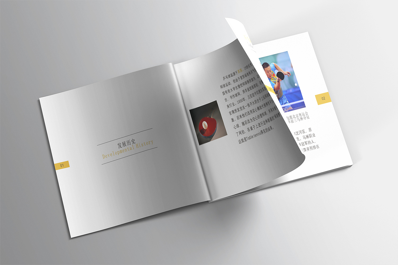 胖球队画册 效果图