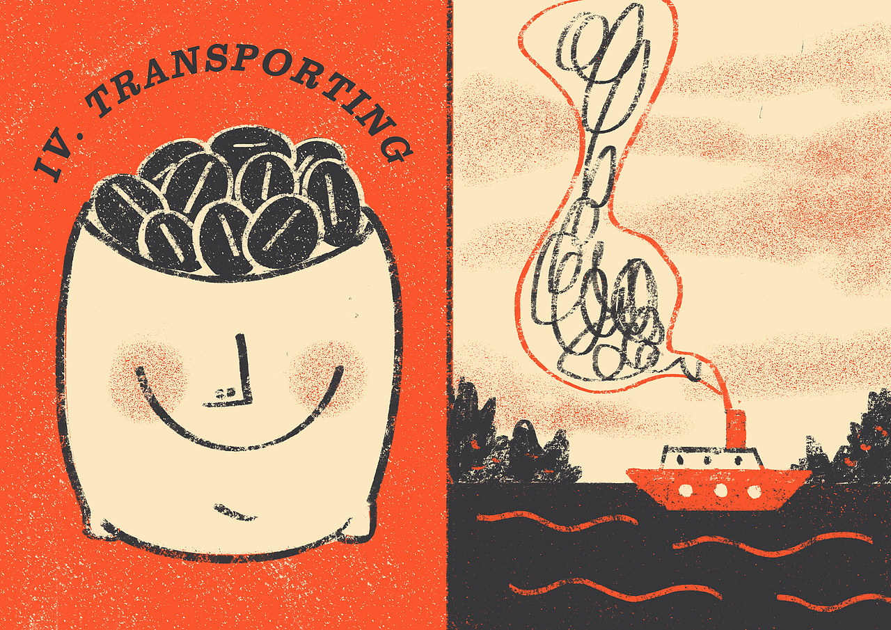 咖啡——从种子到杯子