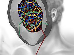 近期手绘作品2021