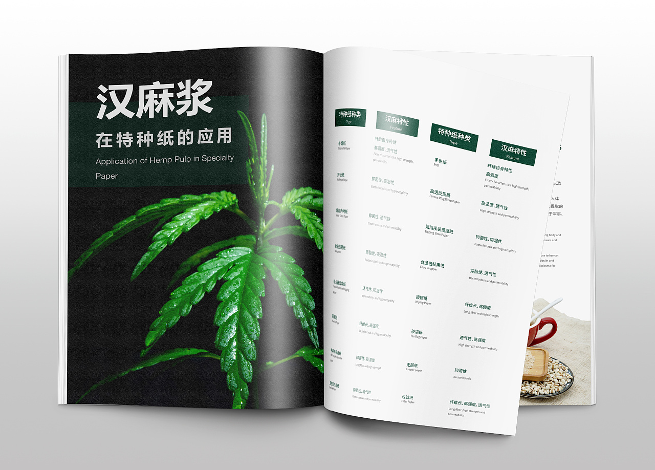 编排设计|汉麻馆画册