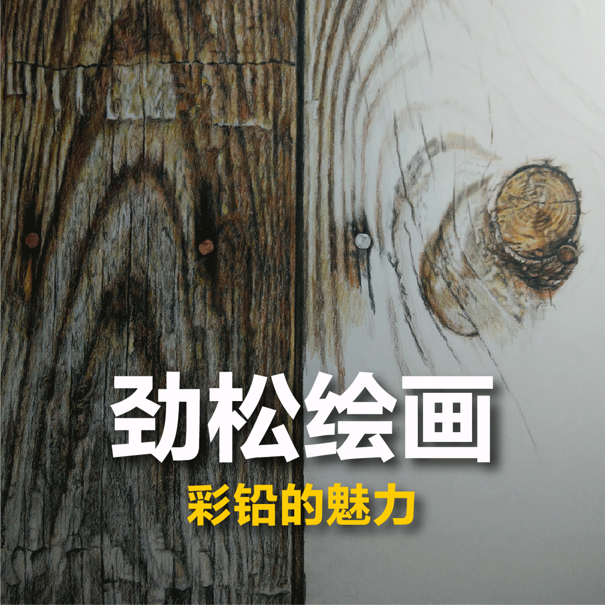 彩铅的魅力-《生命的纹理》（图ZMzg2NDk2MjQ=） - 绘画 - 站酷设计师有毒之水原创素材 - 站酷ZCOOL