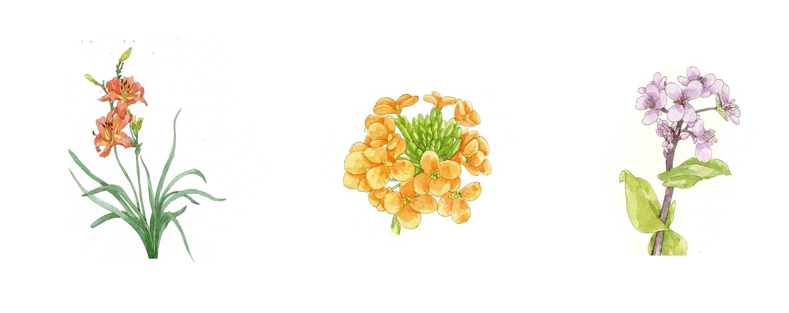 蒋大喵的个人主页（背景预览） - 主页背景设置 - 站酷设计师蒋大喵原创素材 - 站酷ZCOOL