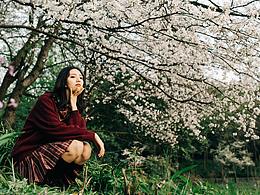 樱花季