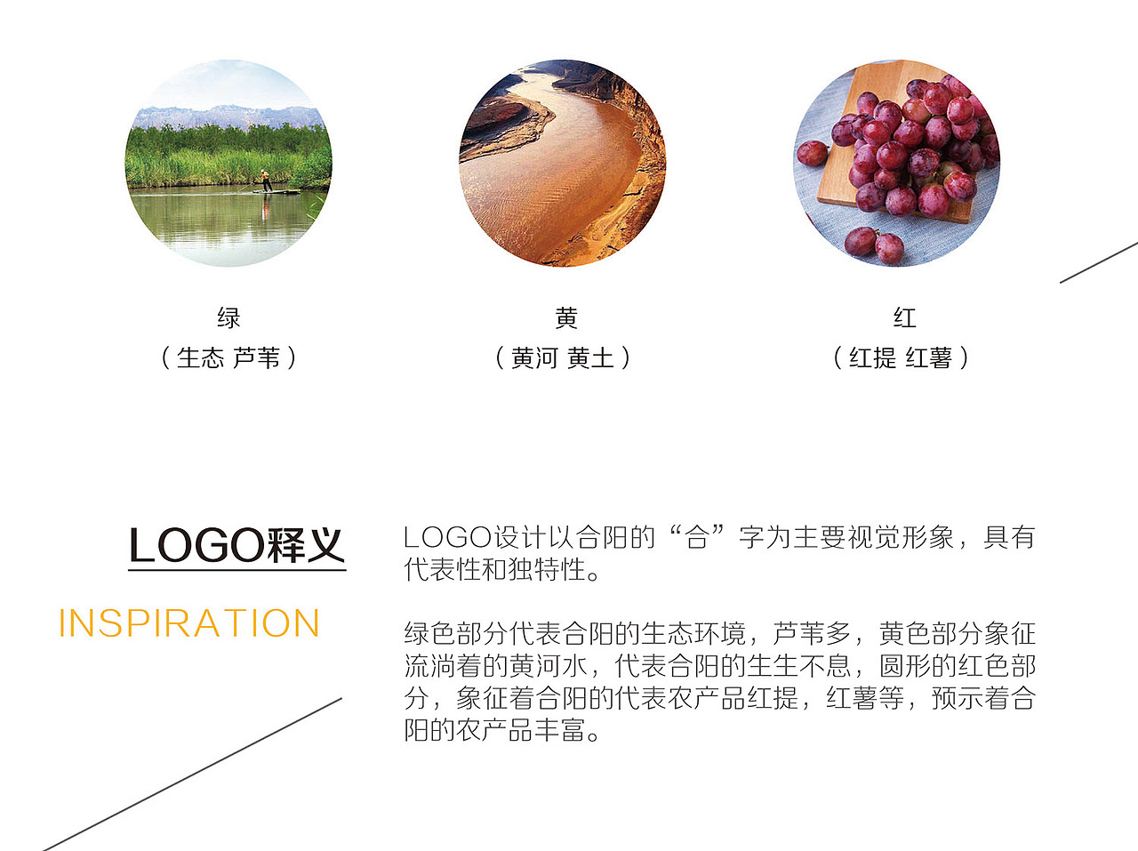 合阳县域品牌标志设计