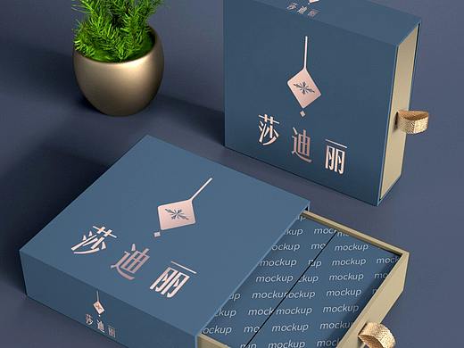 爱莎迪珠宝logo提案