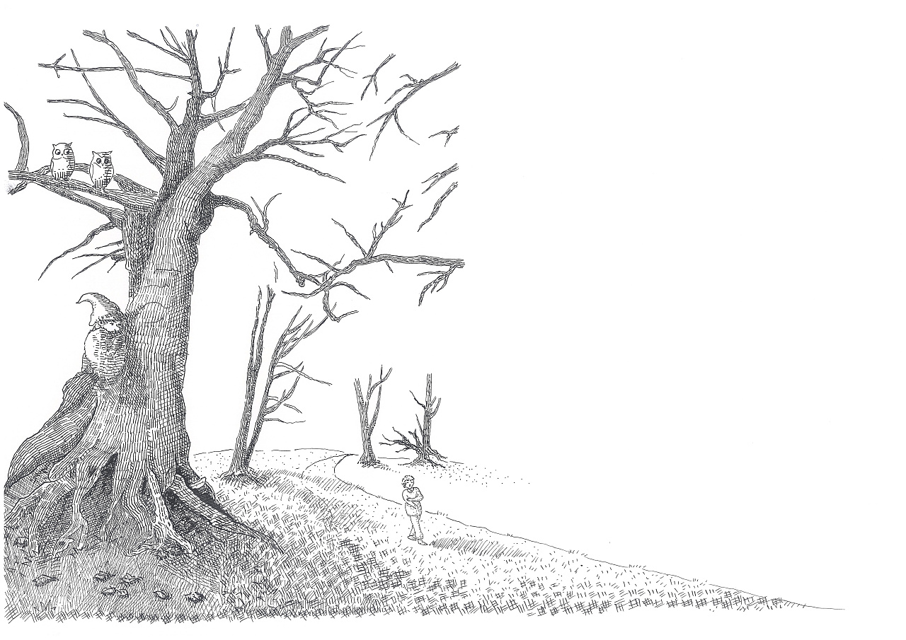 童话绘本《金鹅》钢笔线稿 - 原创作品 - 站酷(zcool)