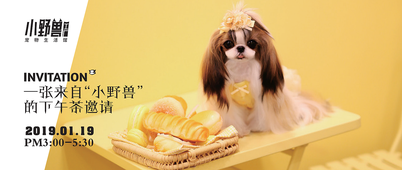 一个品牌的诞生一瓦力出品