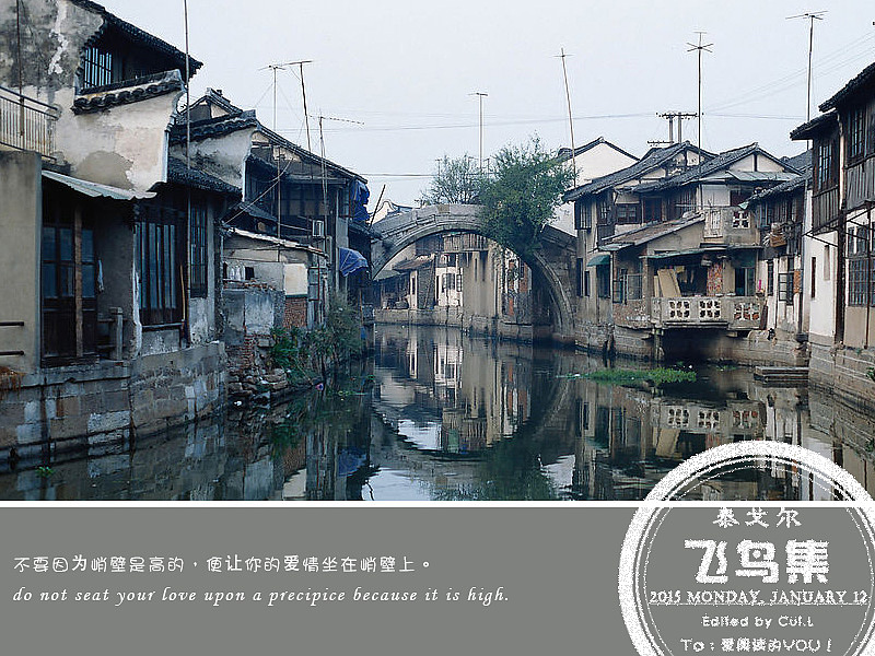 泰戈尔诗句节选《飞鸟集》