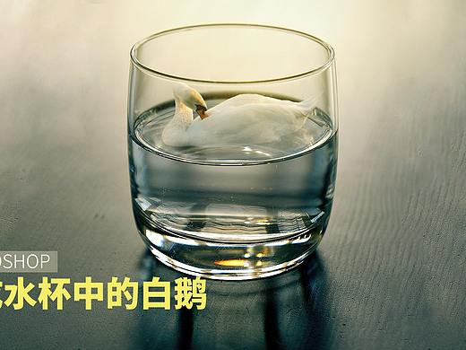 ps教程：合成水杯中的鹅