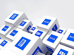 二○二○｜“From BluePay to BLUE”(新品牌升级)