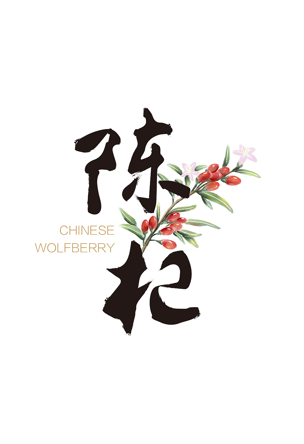 枸杞包裝手繪（圖ZMTA5ODI0MTE2） - 包裝 - 站酷設(shè)計(jì)師花花涂鴉原創(chuàng)素材 - 站酷ZCOOL