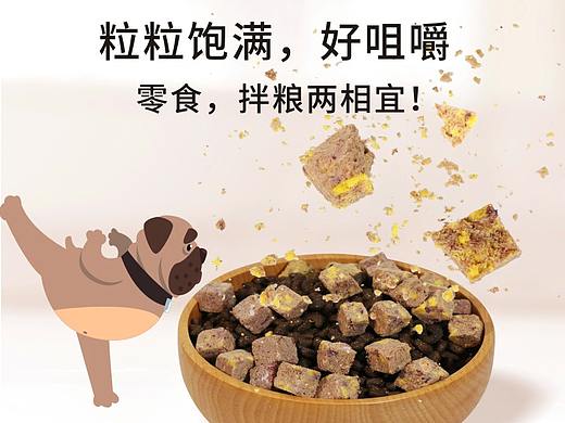 畅享优品生骨肉冻干宝描