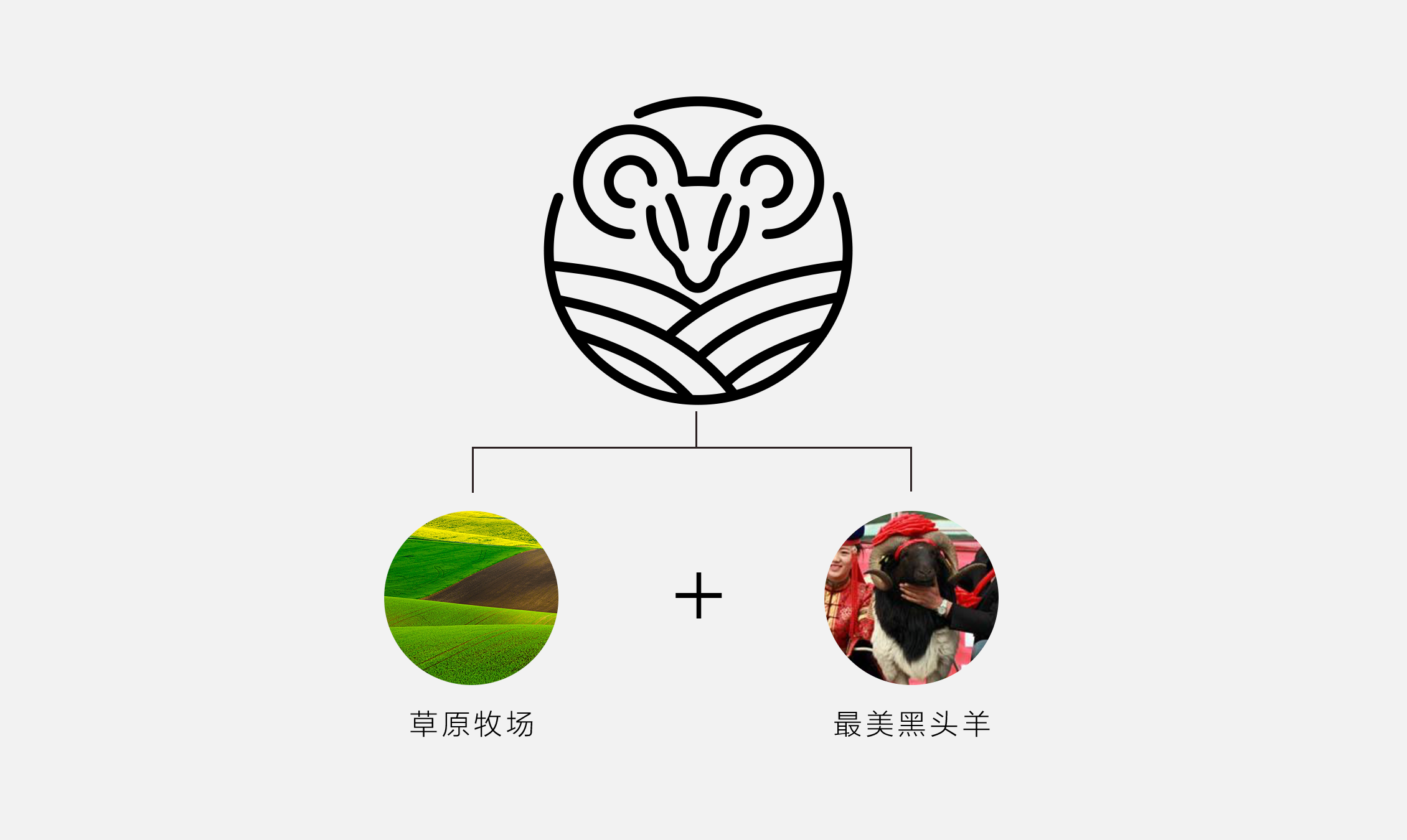 乌拉盖牧头羊品牌形象设计