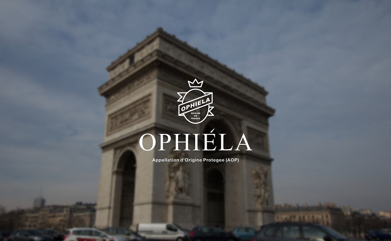 欧菲拉葡萄酒（图ZMTE2NzA3MzU2） - 包装 - 站酷设计师大家创库原创素材 - 站酷ZCOOL