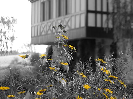 小白的混乱之出游