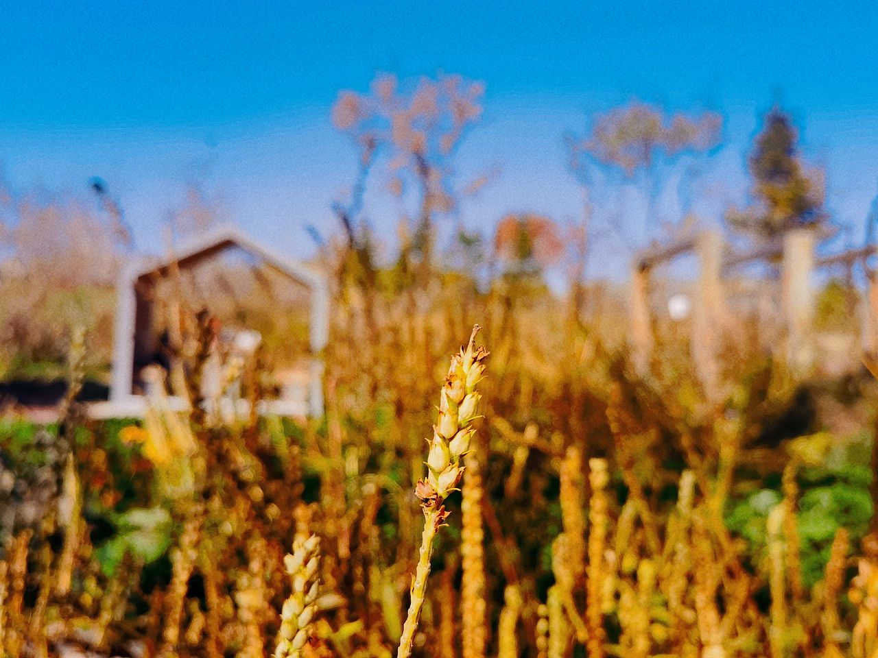 沈阳花间道运动公园（1）