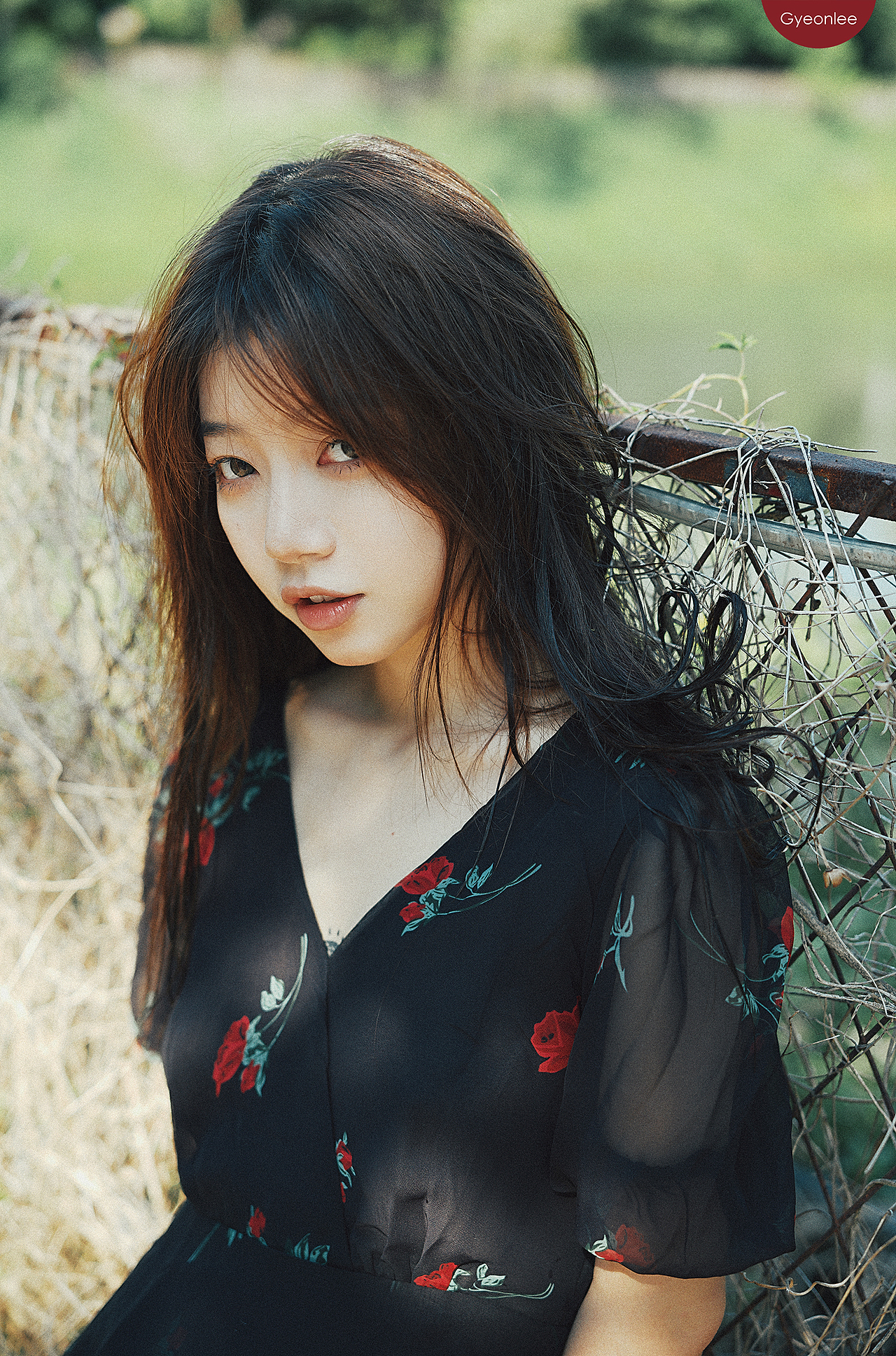 透明的哀伤 | 写真