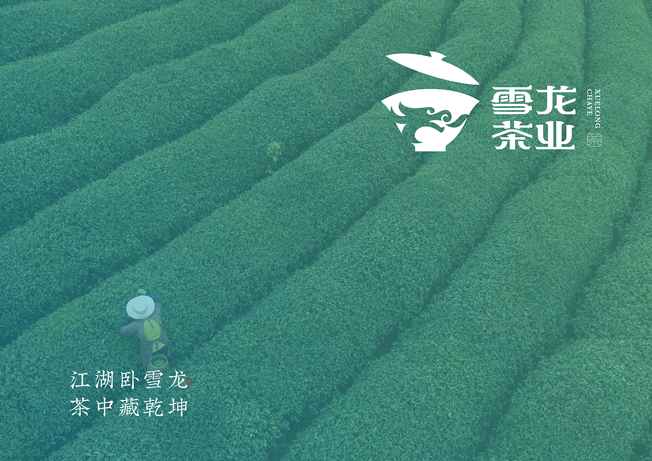 雪龙茶业logo设计字体设计雪龙茶业品牌升级