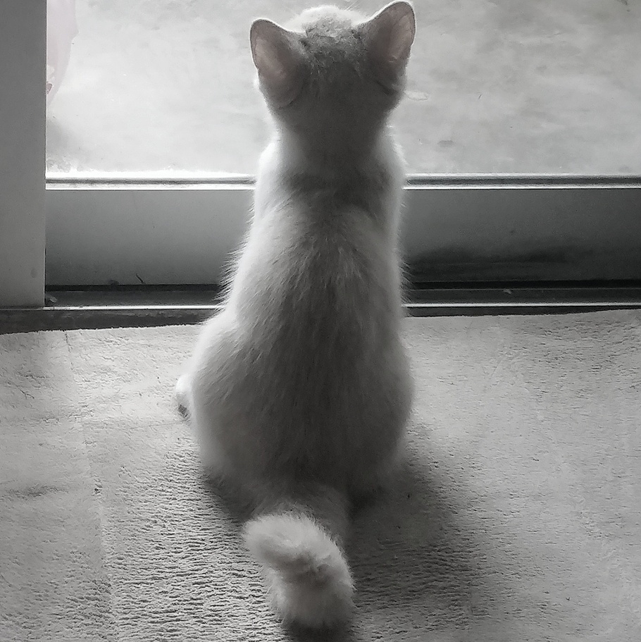 这背影好像在等待某人睡姿感人啊推 荐