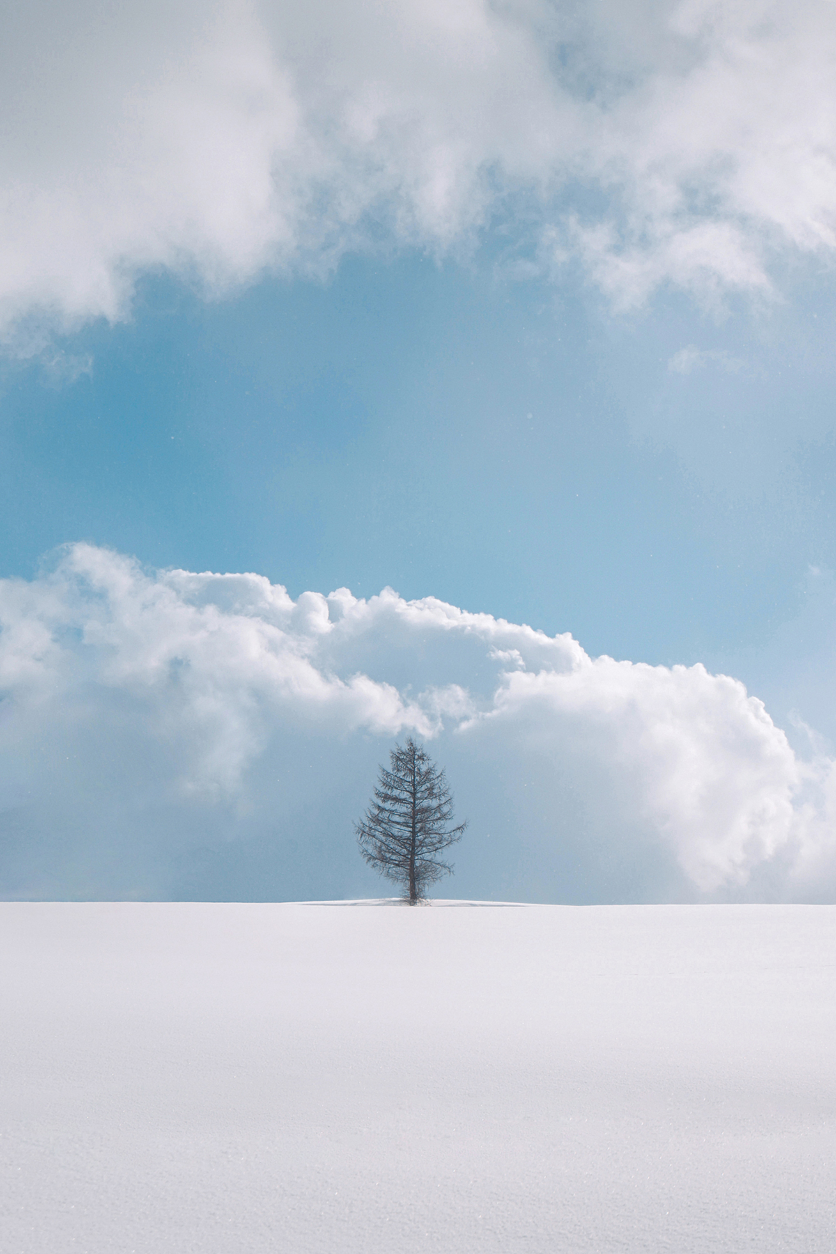 极简雪原（图ZMTA5MTYxOTQw） - 风光摄影 - 站酷设计师沐夜muye原创素材 - 站酷ZCOOL