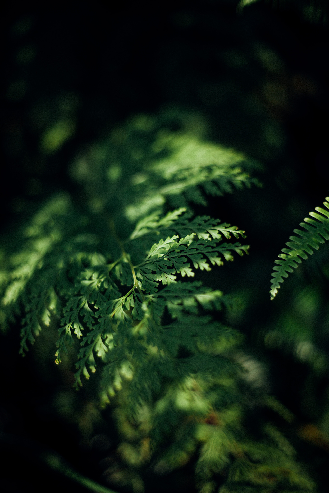 田园·农场·山野