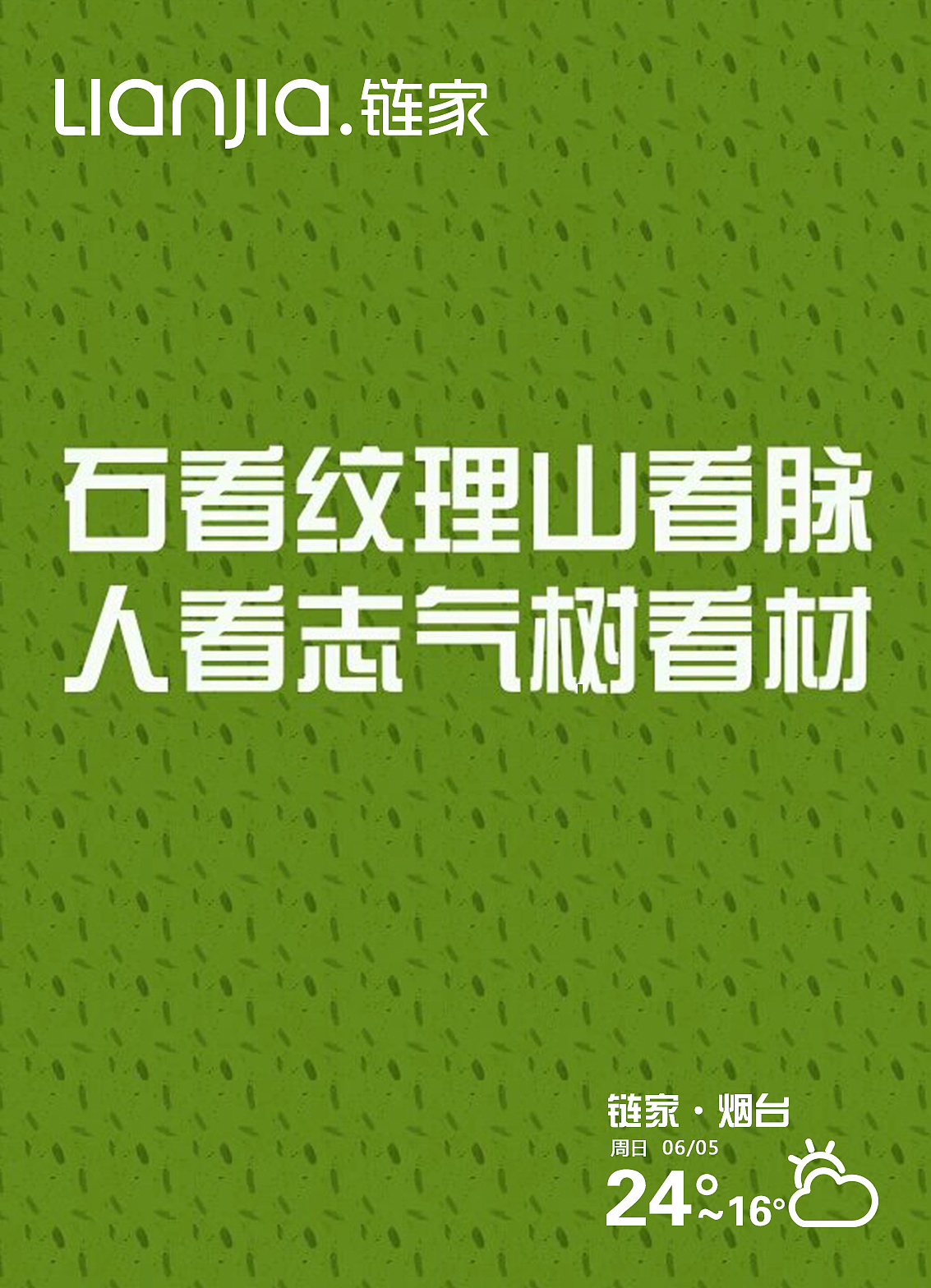 每日链家-6月