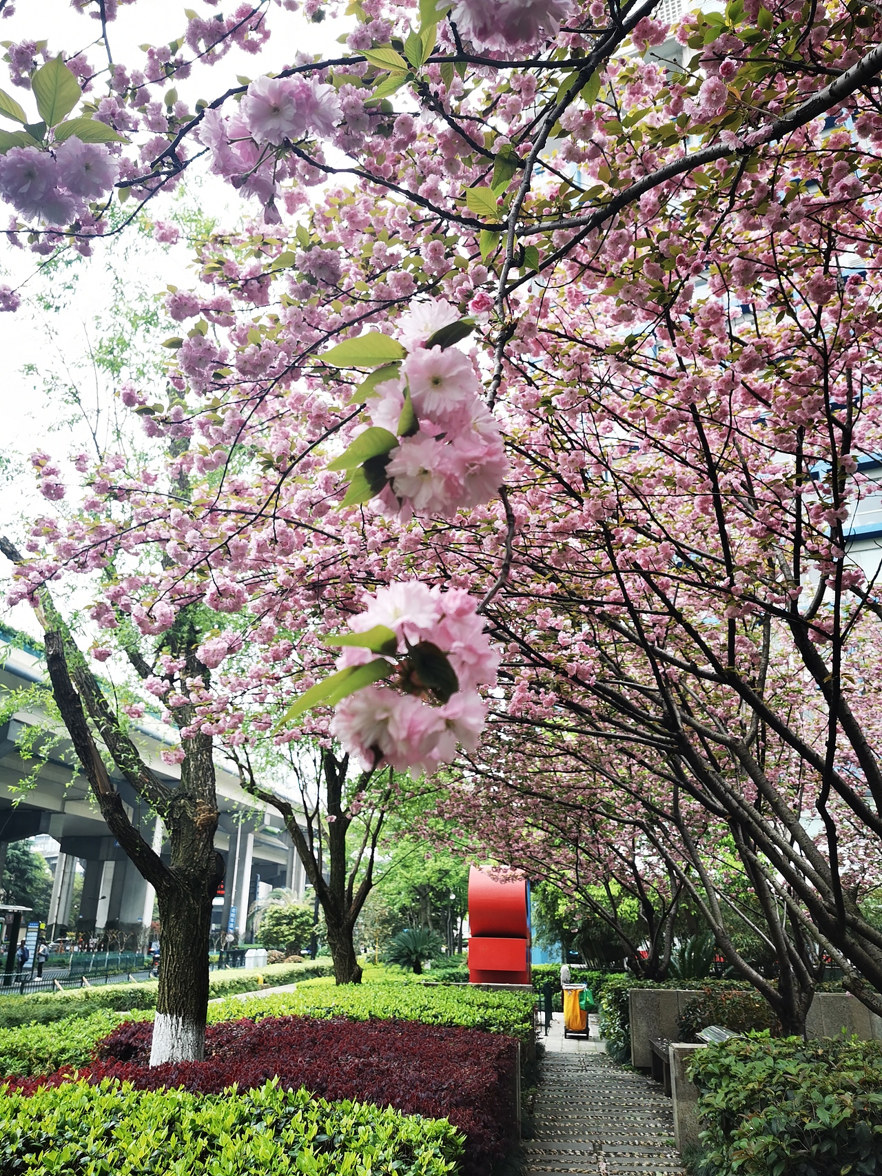 一路繁花（图ZMjQ5NDUzMzUy） - 其他摄影 - 站酷设计师Aprilq原创素材 - 站酷ZCOOL