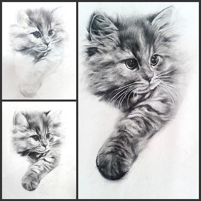 猫（图ZMTkyODcwMzI=） - 创作习作 - 站酷设计师纪祥1991原创素材 - 站酷ZCOOL