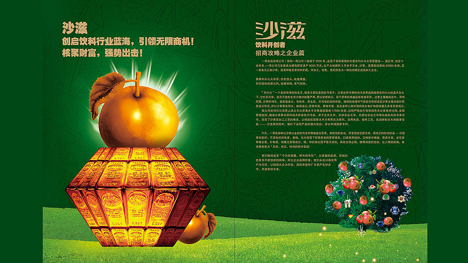 华丽转身,创领佐餐专属果肉饮料【食品包装设计】