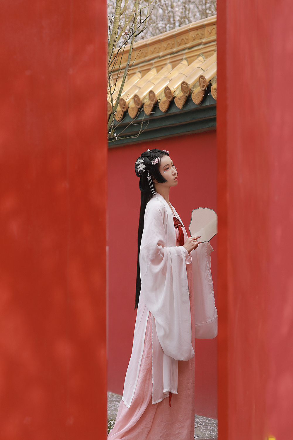 醉花樱 | 花气连云收暮雨