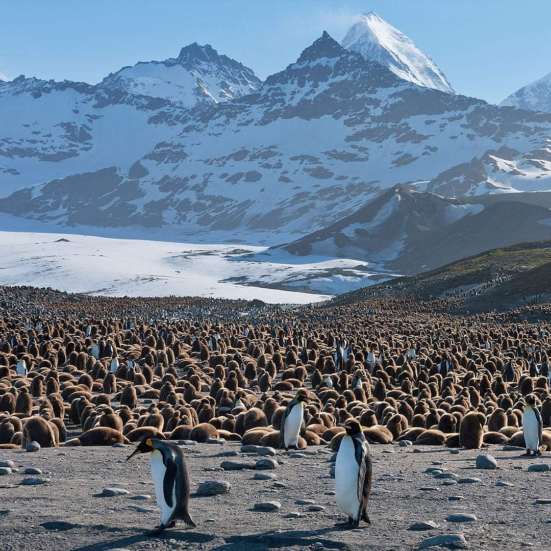 🐧（图ZMzEyMzg0MDQ4） - 风光摄影 - 站酷设计师Z540436737原创素材 - 站酷ZCOOL