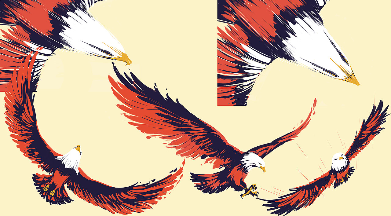 一个悲伤的故事。。。飞机稿