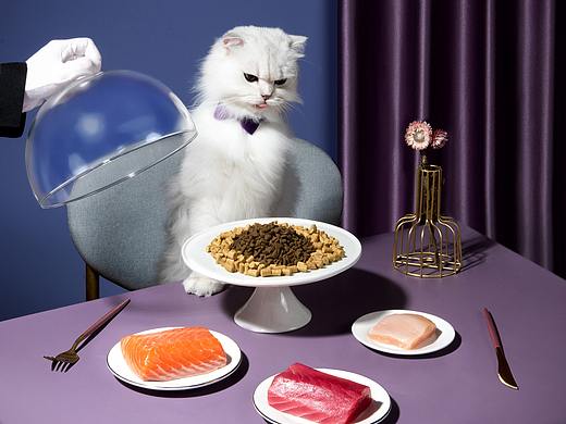 宠物食品/猫粮/宠物用品摄影|珀珀宠影