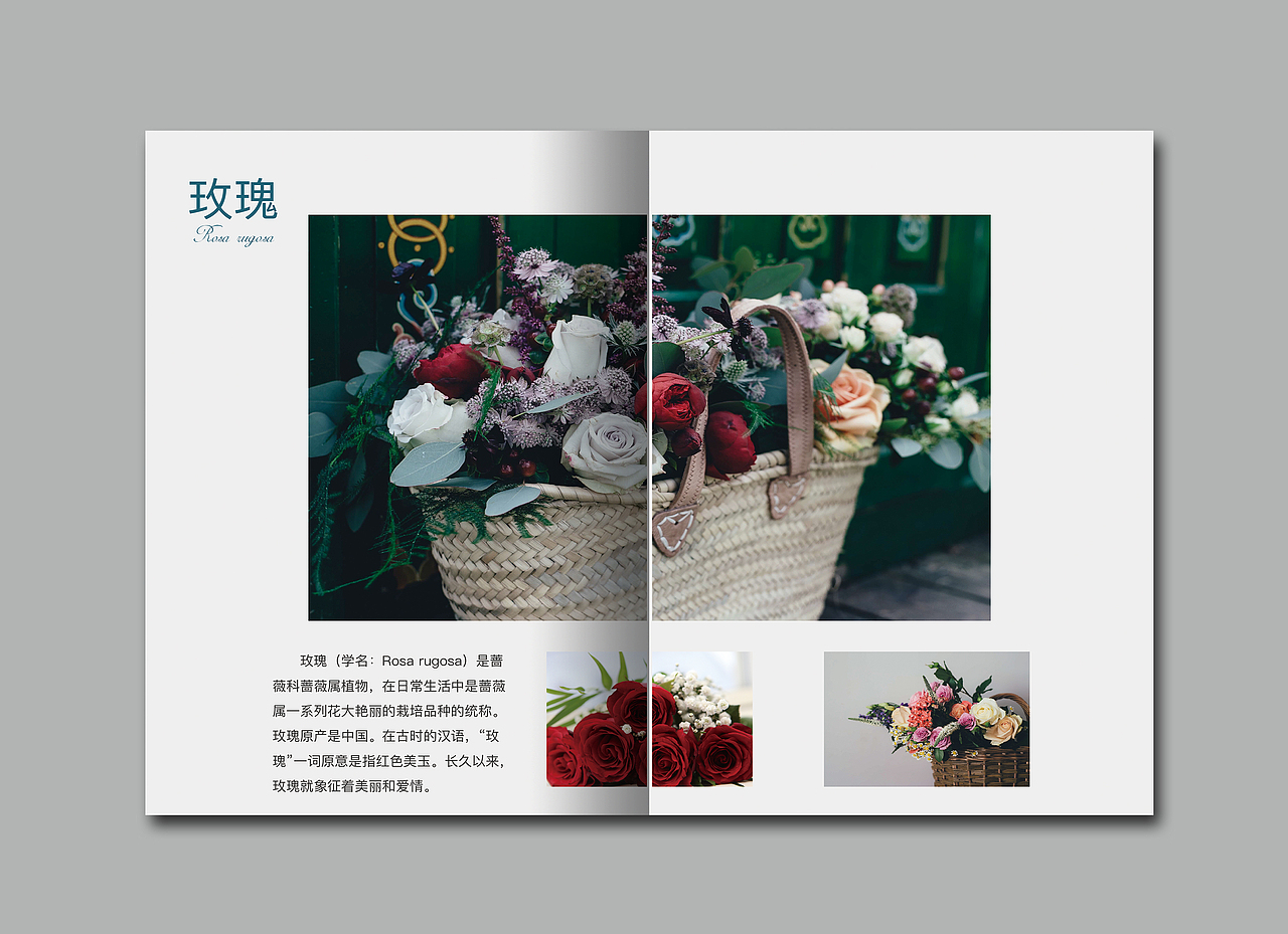 遇见花店画册（图ZODY0MzczNDg=） - 书籍/画册 - 站酷设计师李綺雯囖原创素材 - 站酷ZCOOL