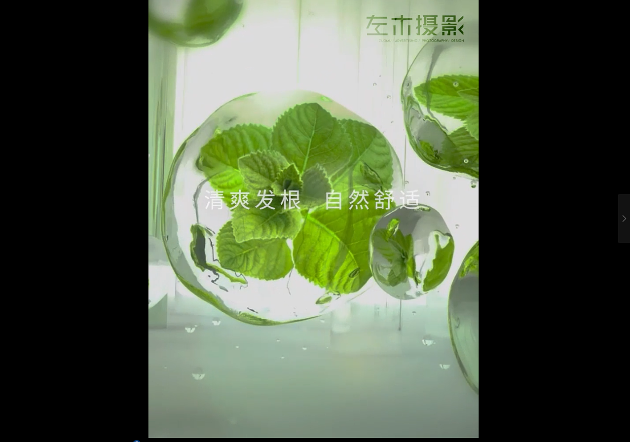 静物产品电商主图短视频 柳屋洗发水