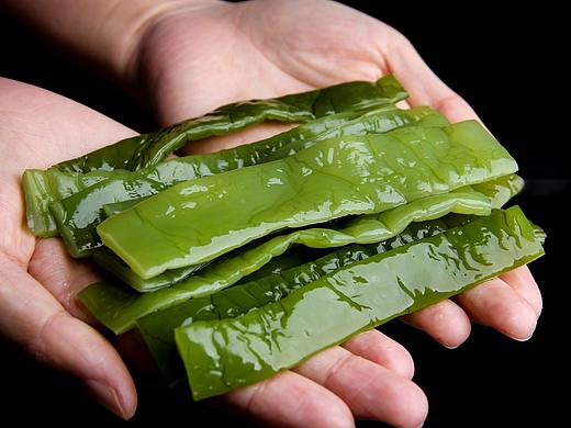 一组海带（个人主页-ZMzQ2MDczMTY=） - 产品摄影 - 站酷设计师Arisyu1991原创素材 - 站酷ZCOOL