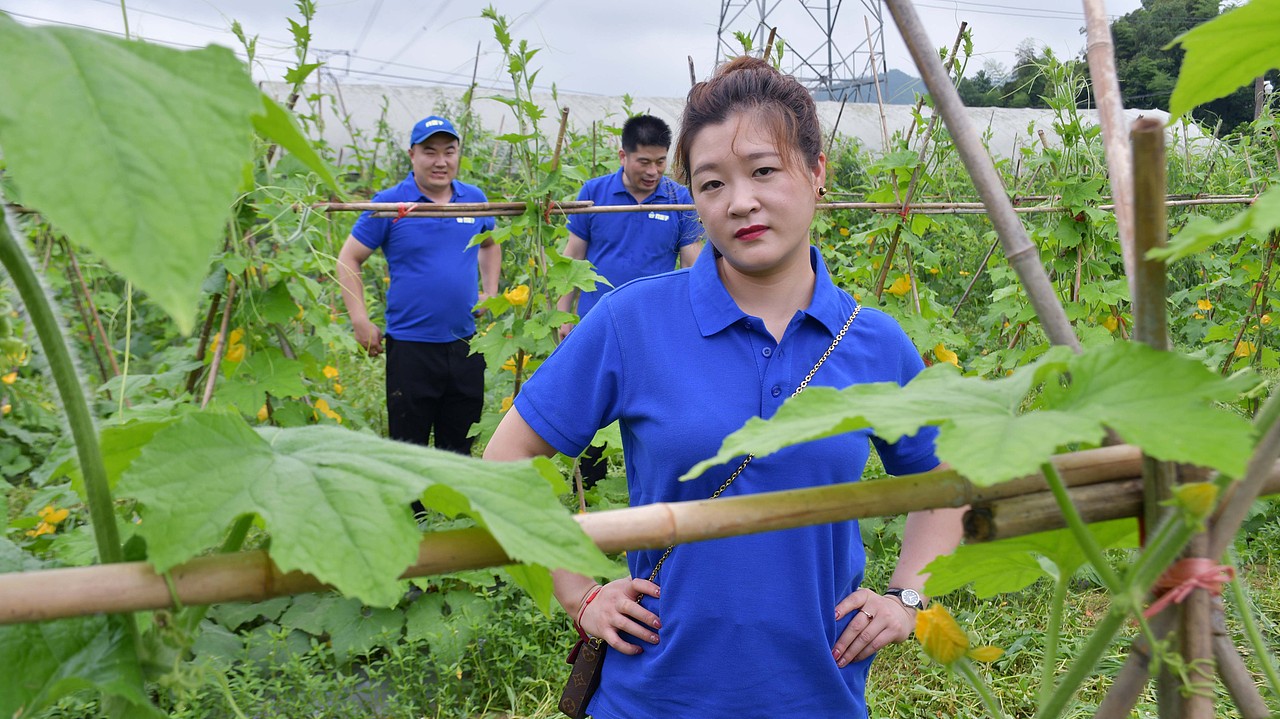陈老汉出品 | 黄篮子生鲜连锁品牌VI视觉体系制造