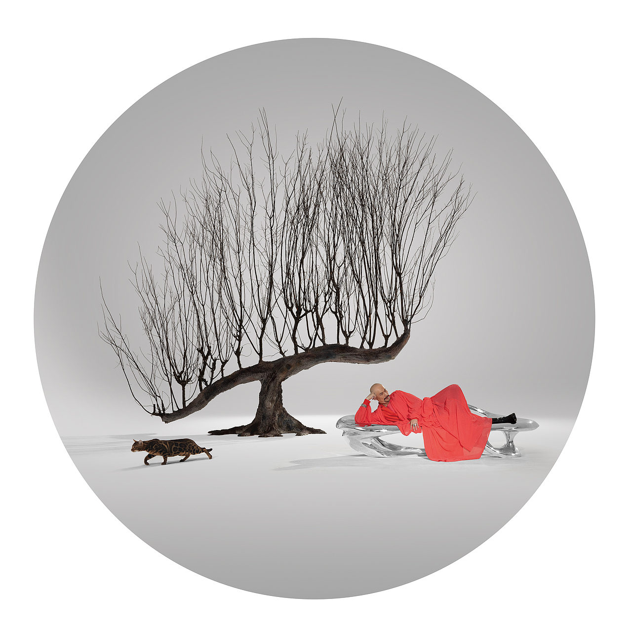 李荣凯眼中的徐锦江——艺之禅