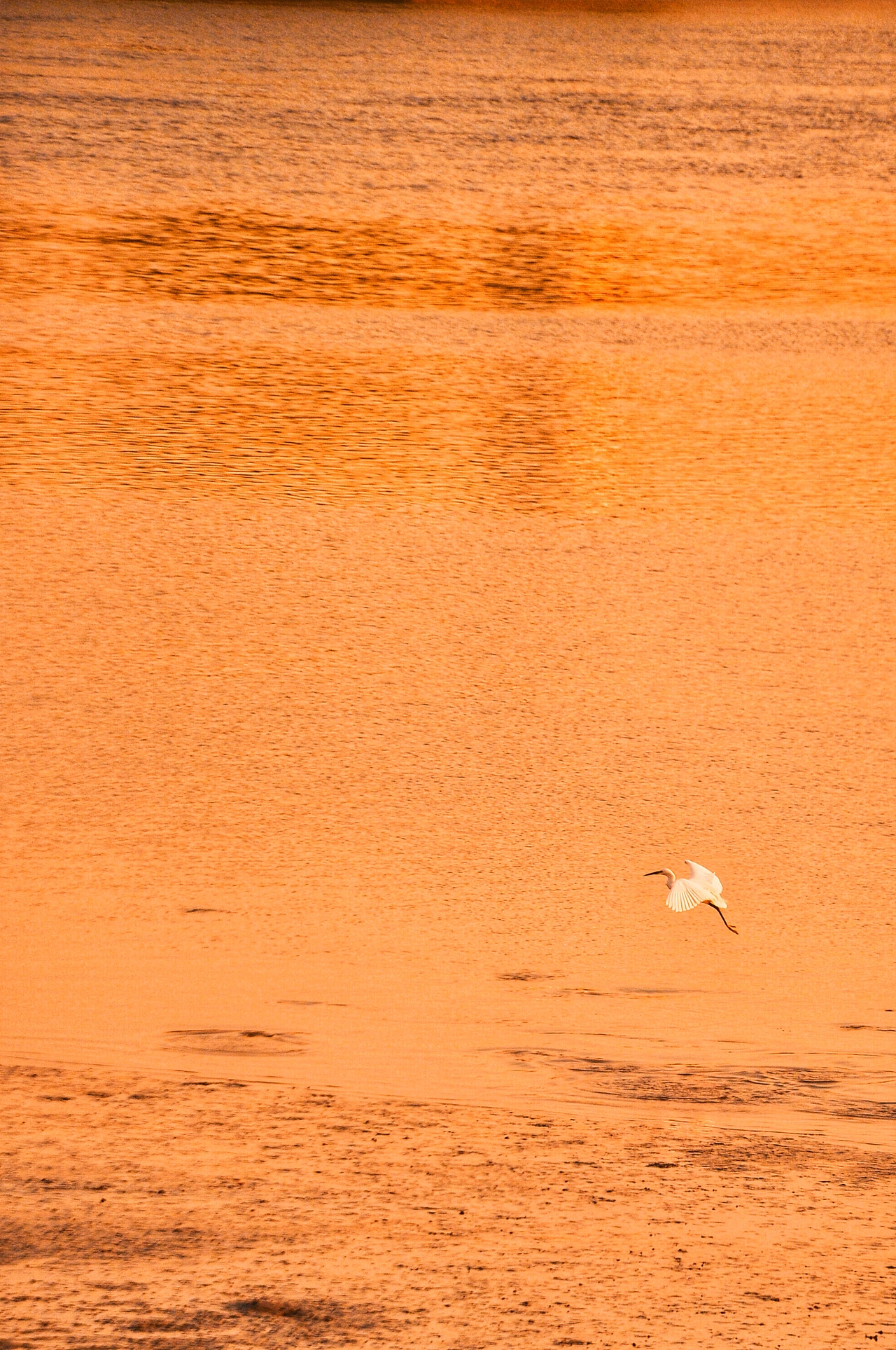 黄昏的力量-广州
