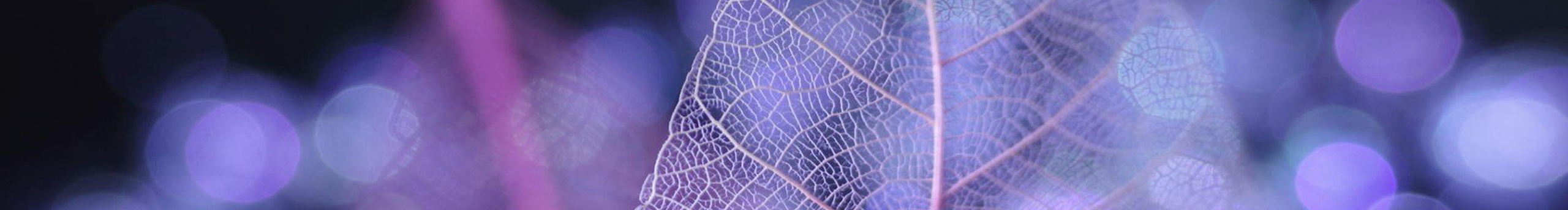 Magi0313的个人主页（封面预览） - 主页封面设置 - 站酷设计师Magi0313原创素材 - 站酷ZCOOL