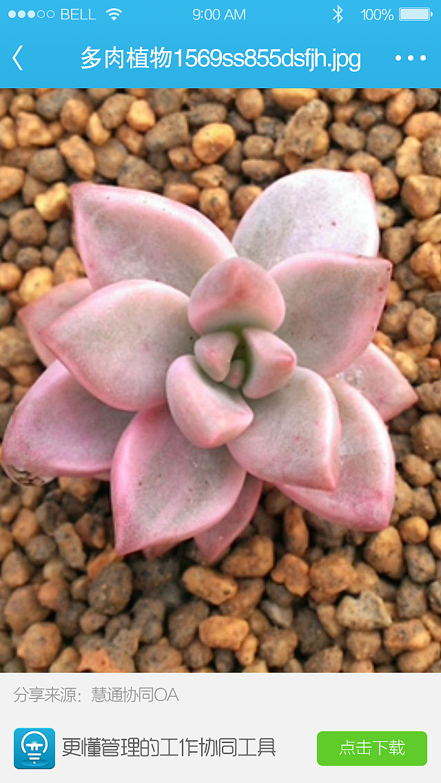 《慧通协同OA》IOS版部分卡通插画UI效果